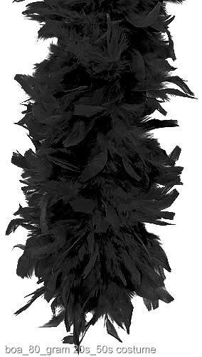 Black 80 Gram Feather Boa - Click Image to Close