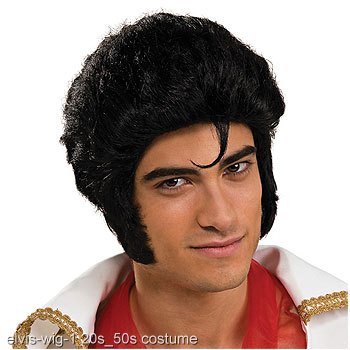 Elvis Wig - Click Image to Close