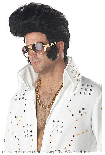 Rock Legend Costume Wig - Click Image to Close