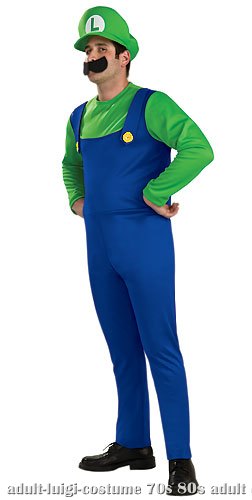 Adult Luigi Costume - Click Image to Close