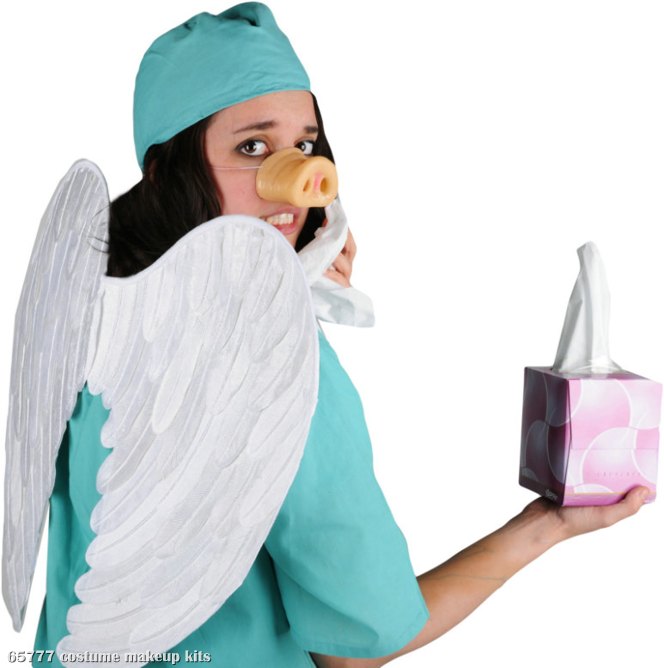 Swine Flu Costume Kit - Click Image to Close