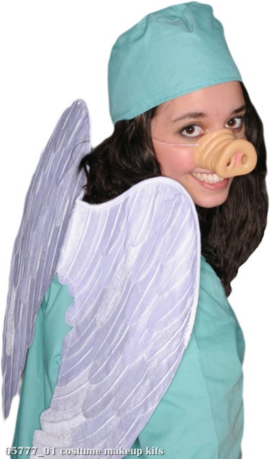 Swine Flu Costume Kit - Click Image to Close