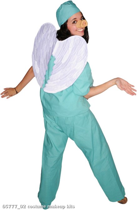 Swine Flu Costume Kit - Click Image to Close
