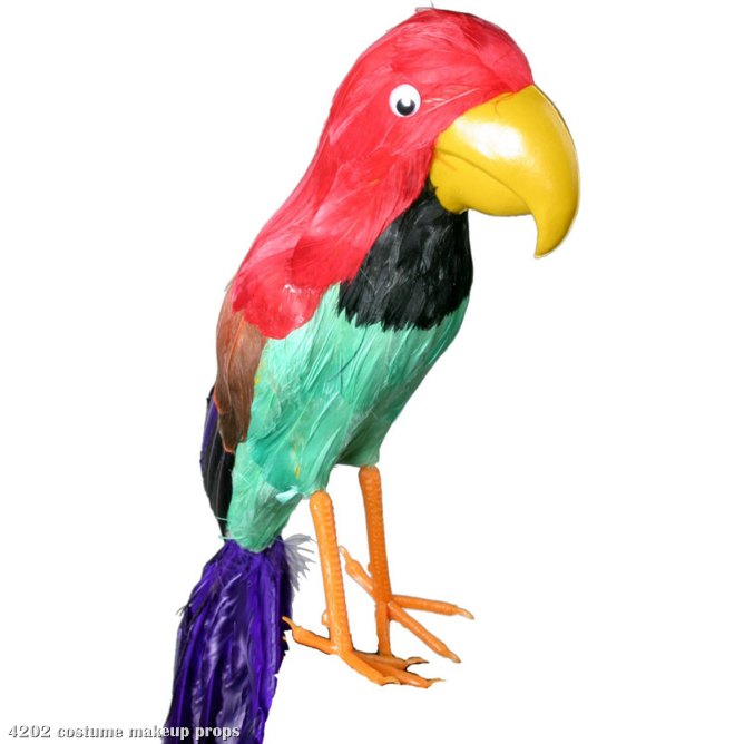 Parrot, Pirate - Click Image to Close