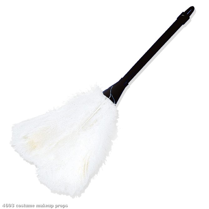 Feather Duster - Click Image to Close