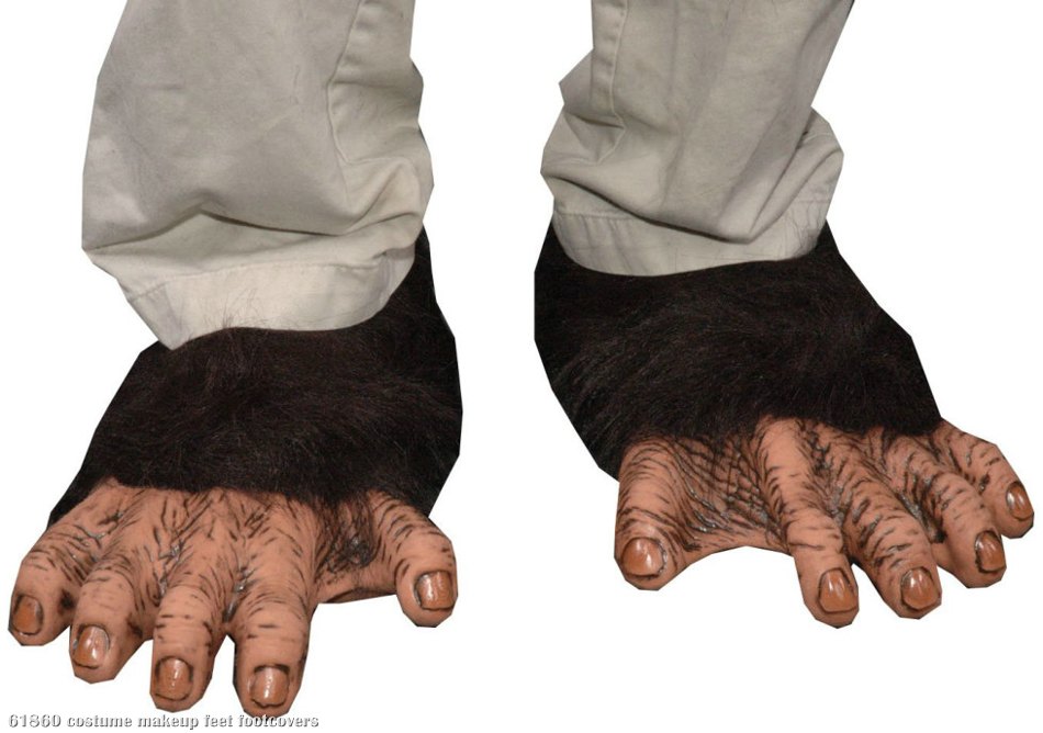 Adult Chimp Feet - Click Image to Close