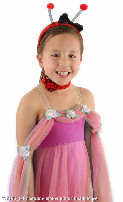 Ladybug Accessory Kit - Click Image to Close