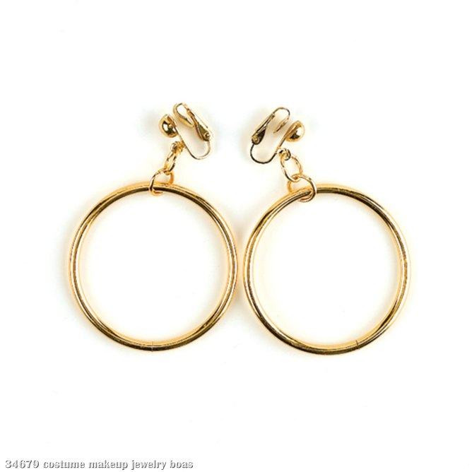 Hoop Earrings - Click Image to Close