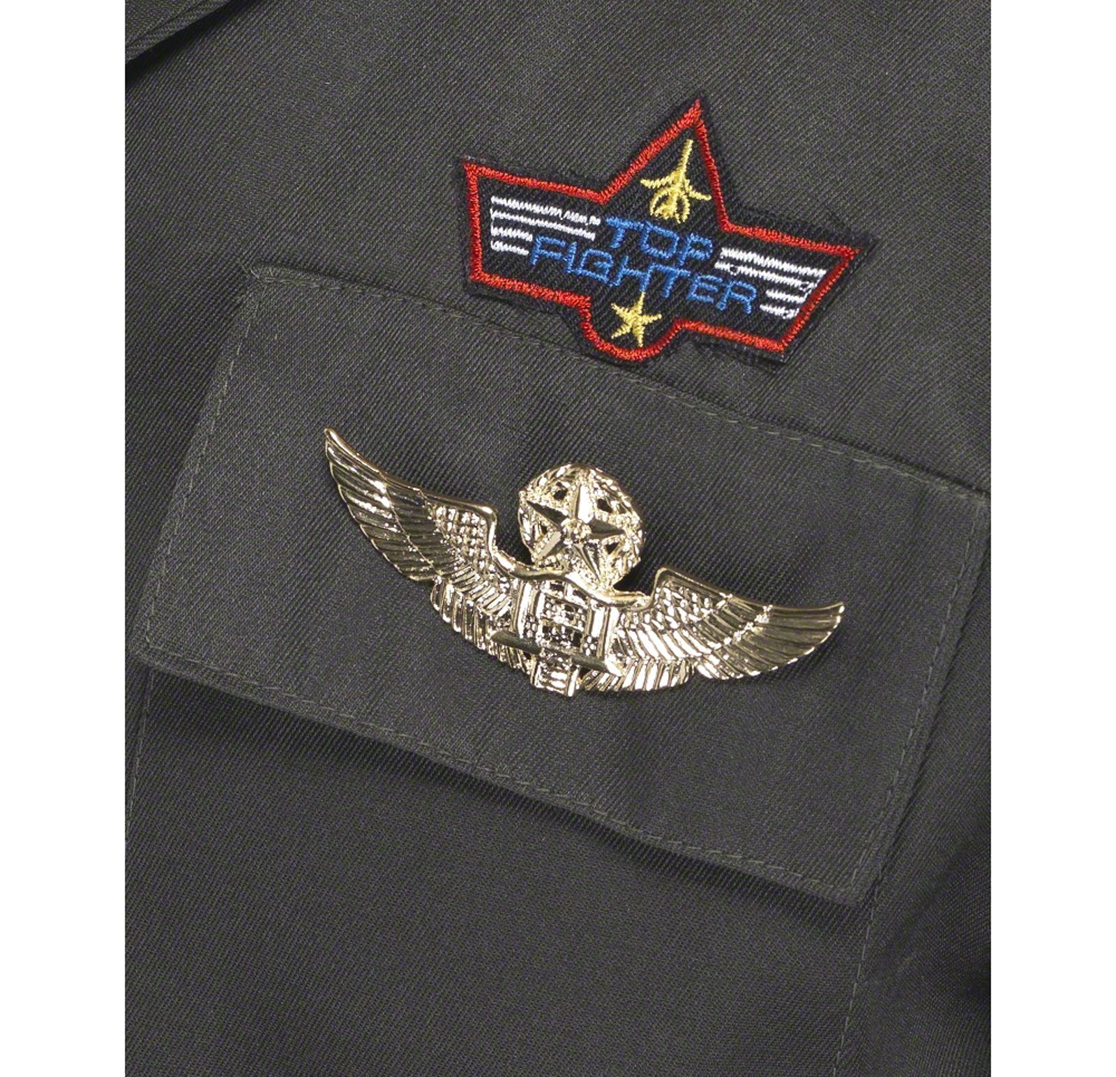 Airborne Pilot Badge - Click Image to Close