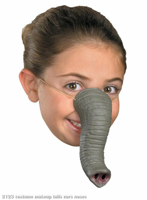 Nose, Elephant - Click Image to Close