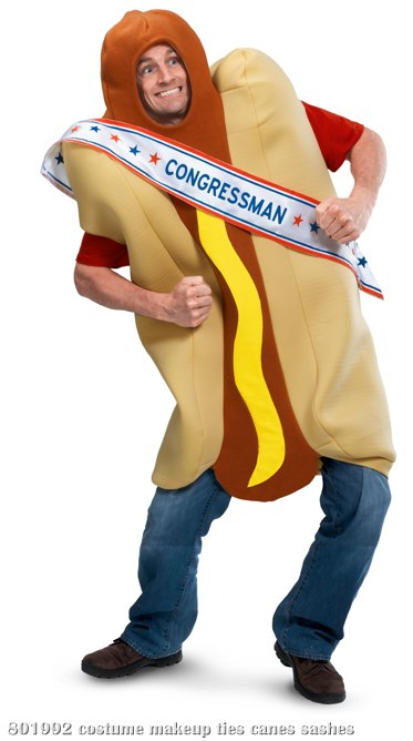 Congressman Sash (Adult) - Click Image to Close