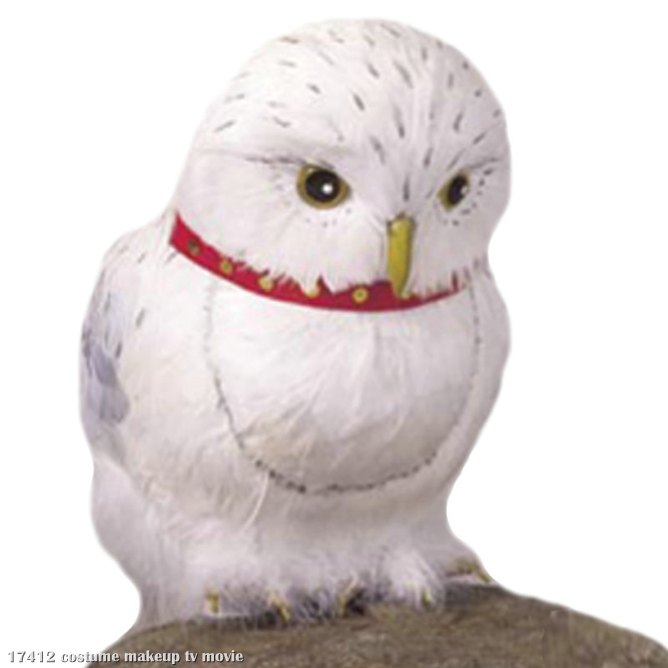 Harry Potter Owl (Hedwig Prop) - Click Image to Close