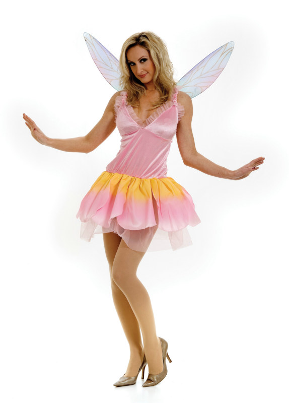 Glitter Pixie Wings Adult