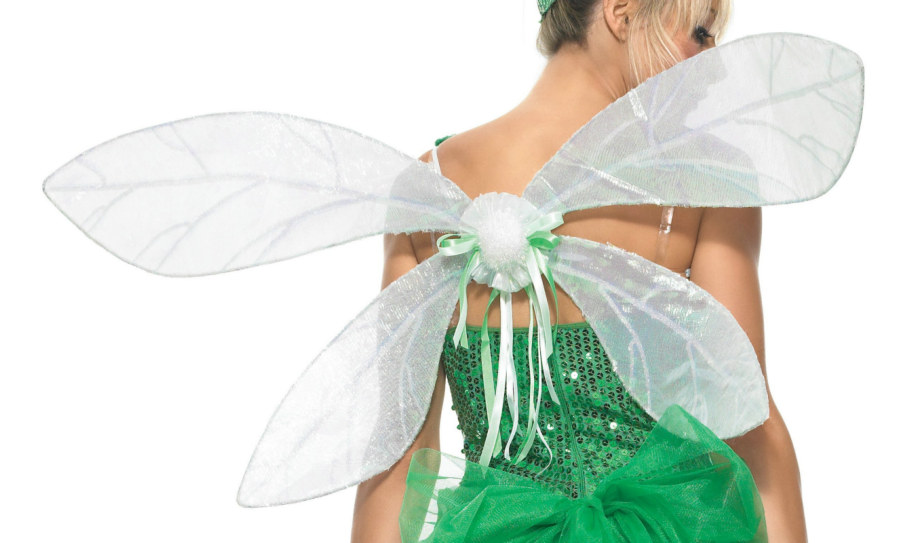Iridescent Pixie Wings - Click Image to Close