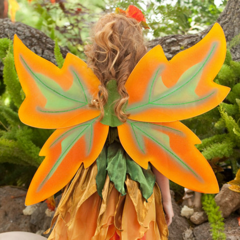 Fall Fairy Wings - Click Image to Close