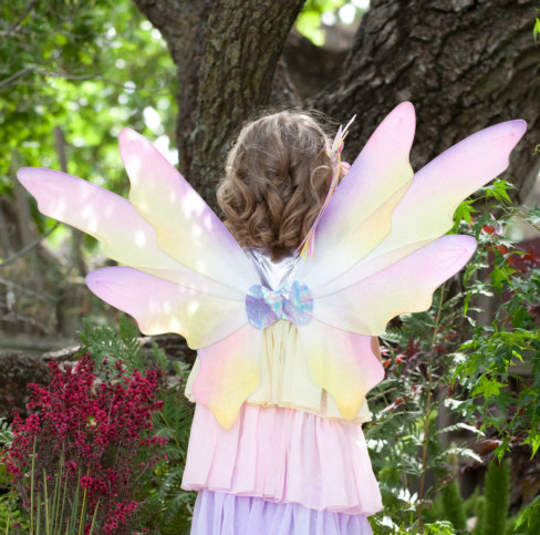 Dawn Fairy Child Wings