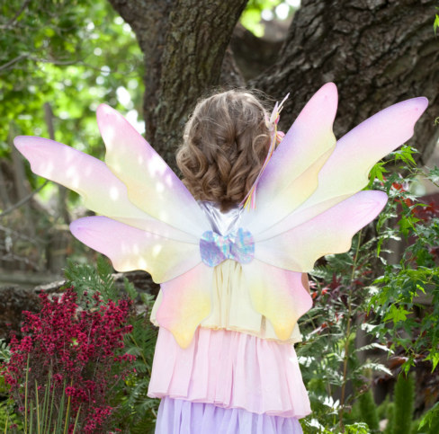 Dawn Fairy Child Wings - Click Image to Close