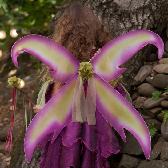 Sugar Plum Fairy Child Wings - Click Image to Close