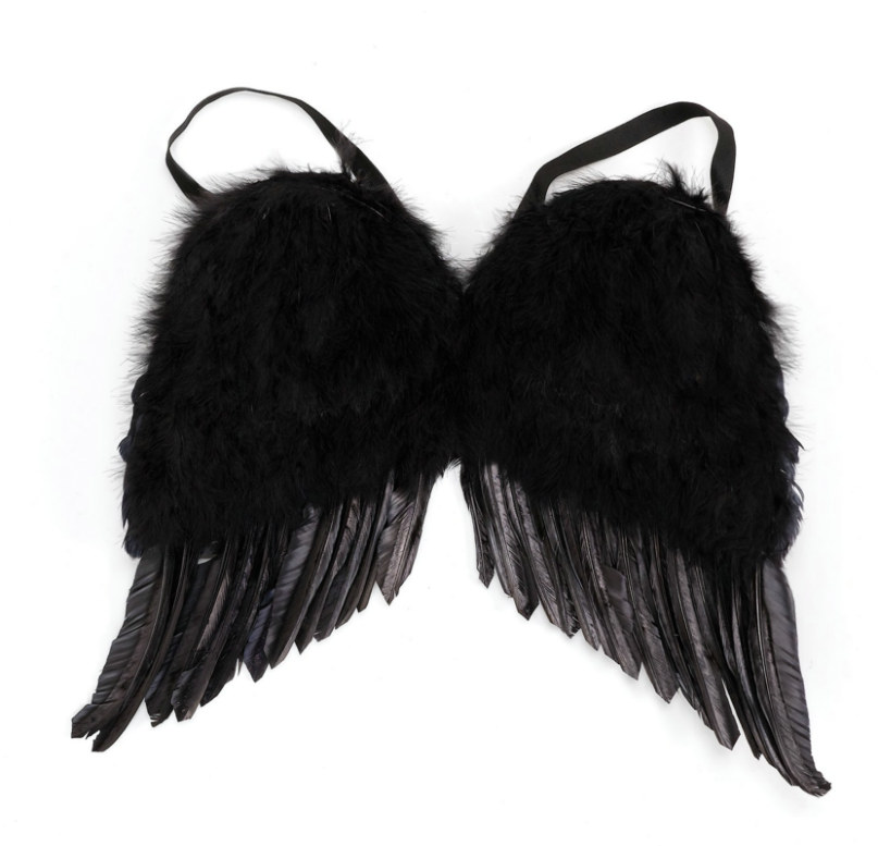 Feather Wings
