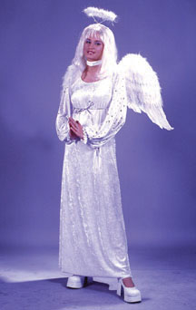 Velvet Angel Of Light Adult Costume