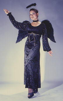 Angel Of Night Velvet Adult Costume