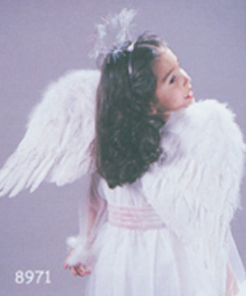 Angel Wings - Click Image to Close