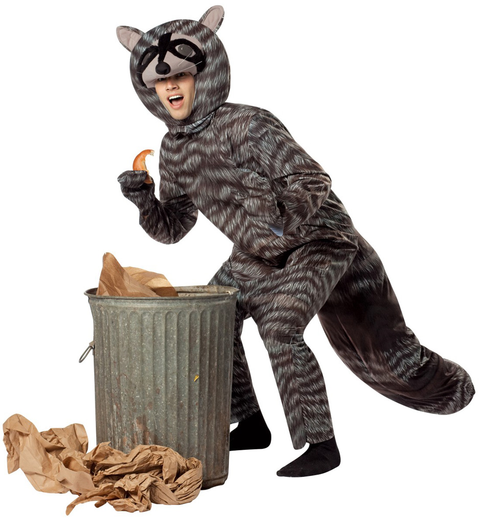 Raccoon Adult Costumes - Click Image to Close