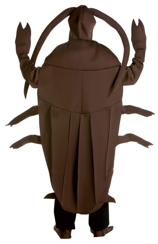 Cockroach Adult - Click Image to Close