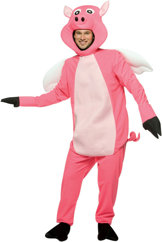 Flying Pig Adult Costume - Click Image to Close