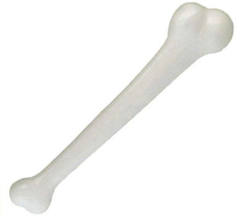 Jumbo Cave Bone