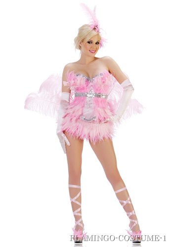 Sexy Pink Flamingo Costume