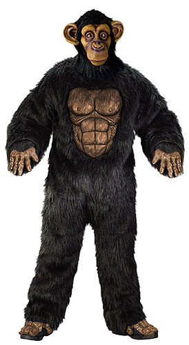 Adult Chimpanzee Costume - Click Image to Close