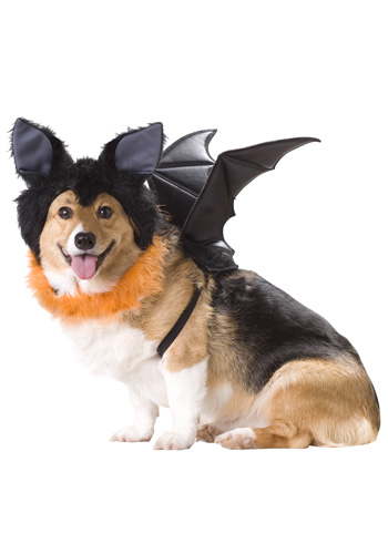 Pet Bat Costume - Click Image to Close