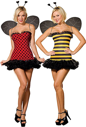 Reversible Ladybug / Bumble Bee Costume