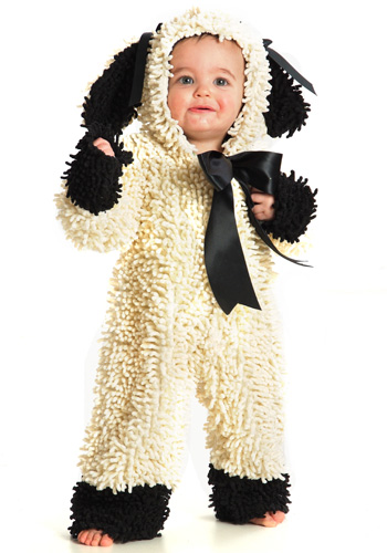 Toddler Wooly Lamb - Click Image to Close