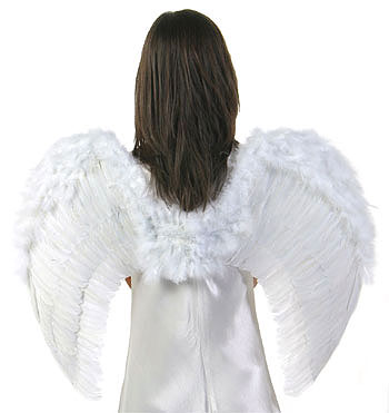 Feather Angel Wings - Click Image to Close