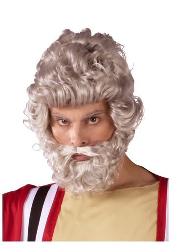 Moses Wig and Beard Set - Click Image to Close