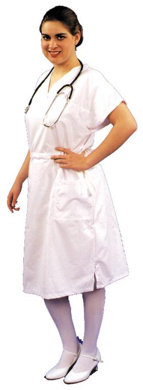 Nurse Scrub Dress Adult Costume - Click Image to Close