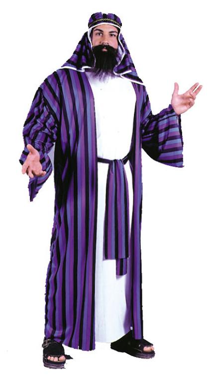 Chic Sheik Adult Costume