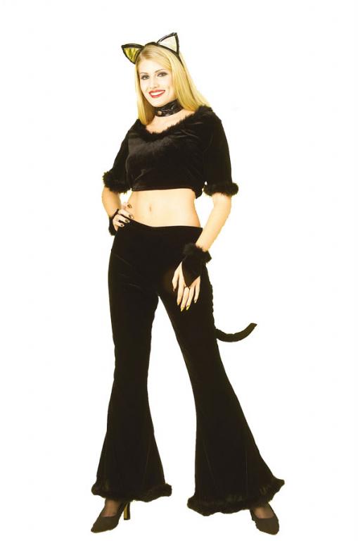 Pretty Kitty Adult Costume - Click Image to Close