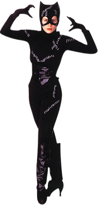 Catwoman Adult Costume - Click Image to Close