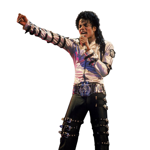 Michael Jackson Galaxy Tour Adult Costume
