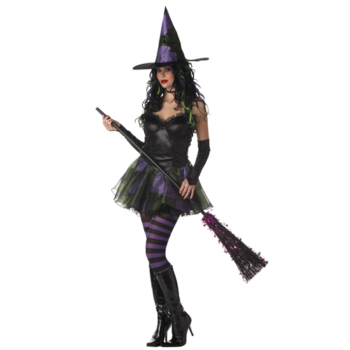 Rebel Wicked Witch of The West Adult Costume - Click Image to Close