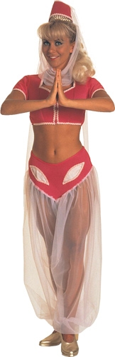 I Dream of Jeannie Adult Costume - Click Image to Close