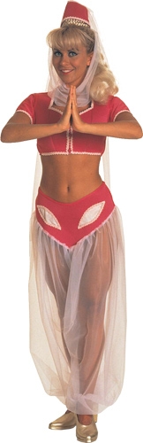 I Dream of Jeannie Adult Costume