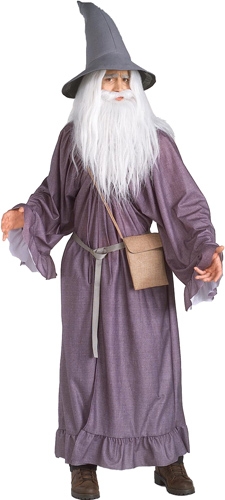 Gandalf Adult Costume - Click Image to Close