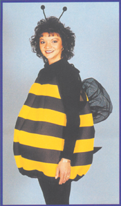 Bee Adult Costume