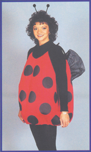 Lady Bug Adult Costume - Click Image to Close