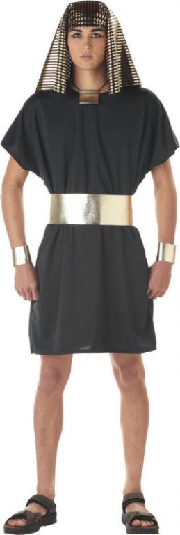 Pharaoh Adult Costume - Click Image to Close