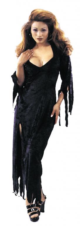 Endora Adult Costume - Click Image to Close